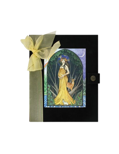 Diario Hada Embarzada