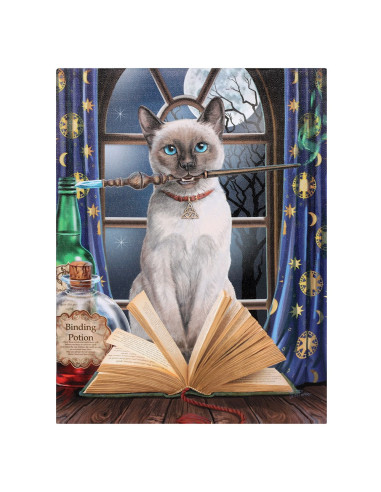 Cuadro Hocus Pocus de Lisa Parker