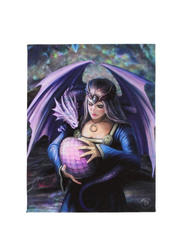 Cuadro Doncella y Dragón Anne Stokes