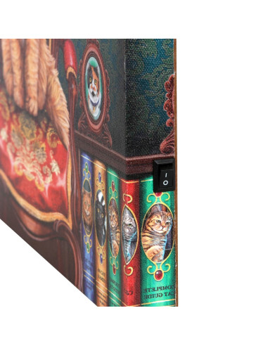 Cuadro Con Luz Locura por los Gatos...