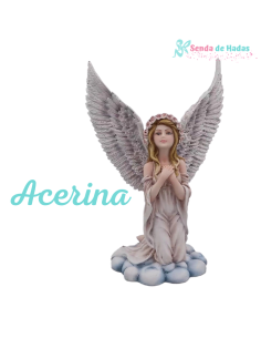 Angel Acerina, 11x15 cms 2