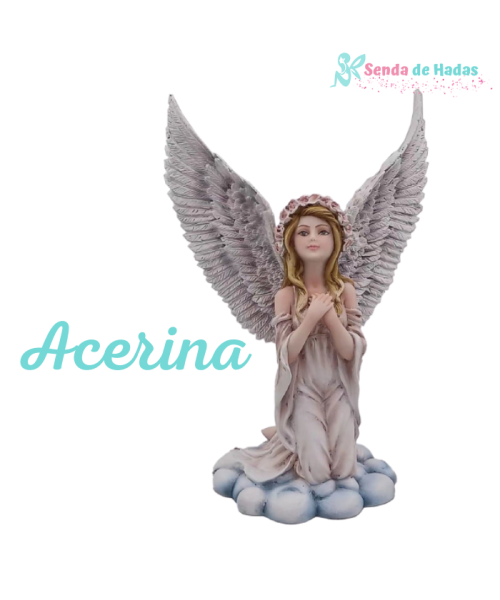 Angel Acerina, 11x15 cms