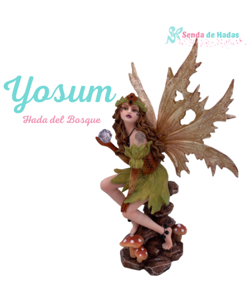 Hada Yosum, 15 cms