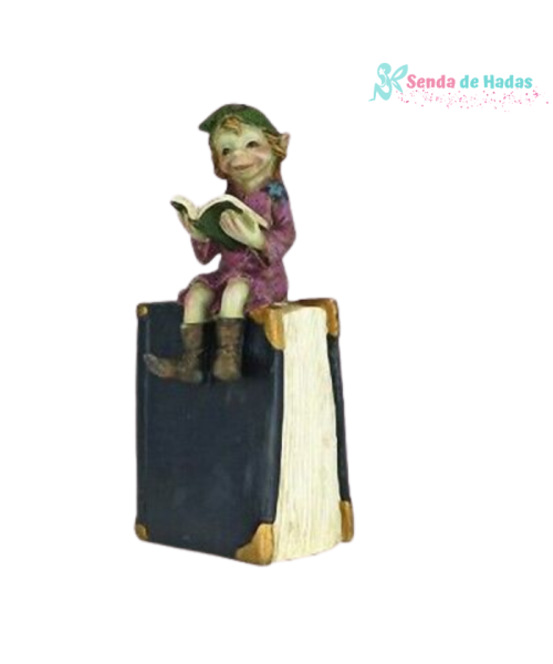 Pixi Hucha con forma de Libro