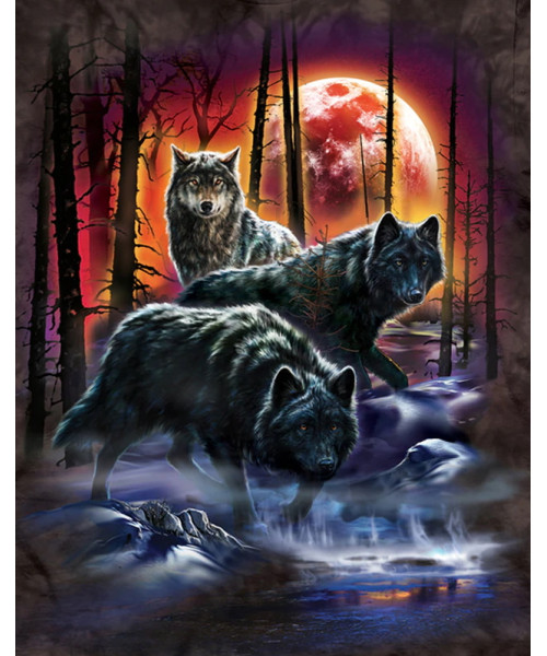 Placa pared Trio de Lobos 20x30