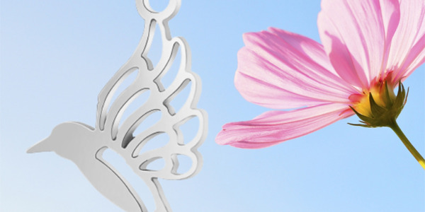 ¿Qué significa que aparezca un colibrí?